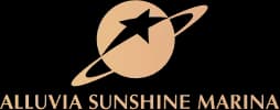 Logo Footer