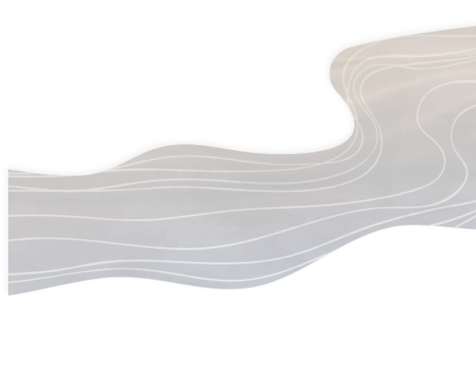 Pattern top hesinhthai